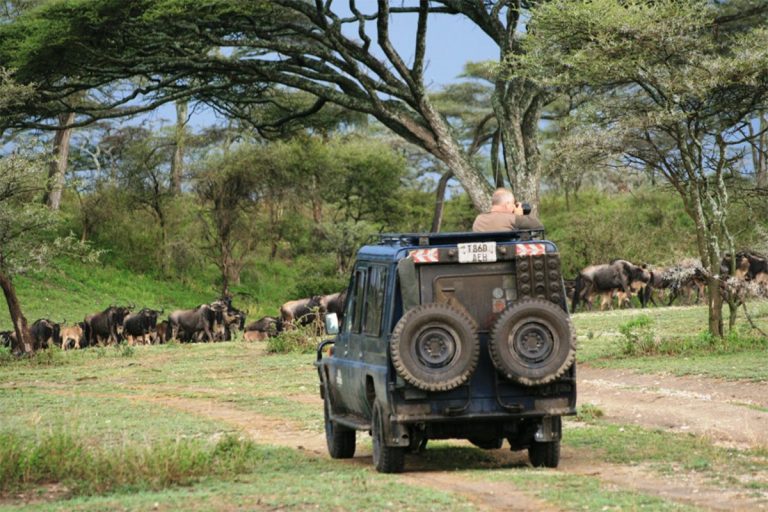 Game-viewing-in-Serengeti-National-park