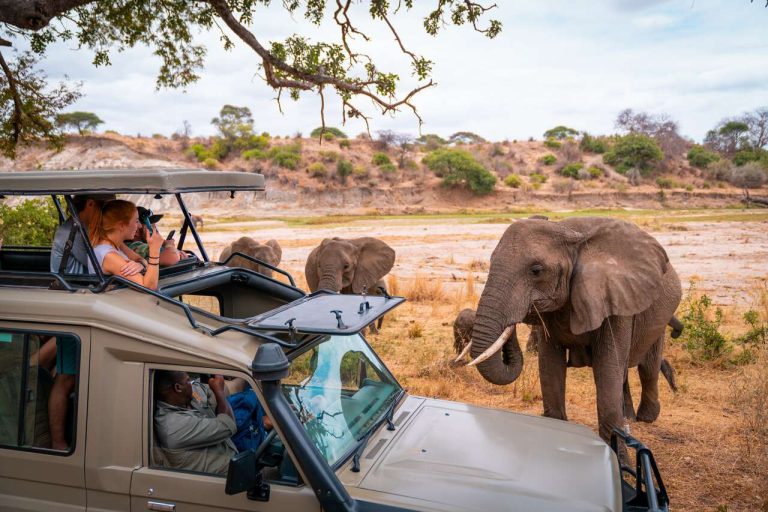 Self-Drive Safari in Tanzania (2)