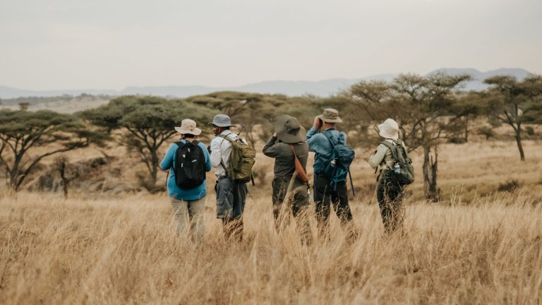 Serengeti-Walking
