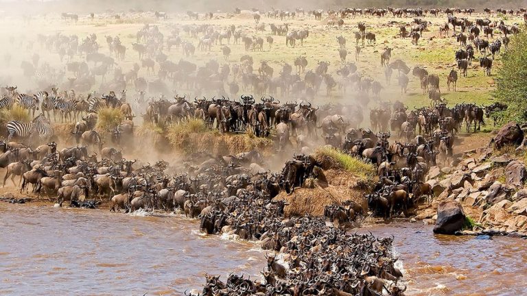best_time_for_the_great_migration_in_serengeti_1662108880