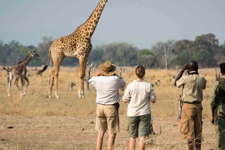 walking-safaris-tanzania